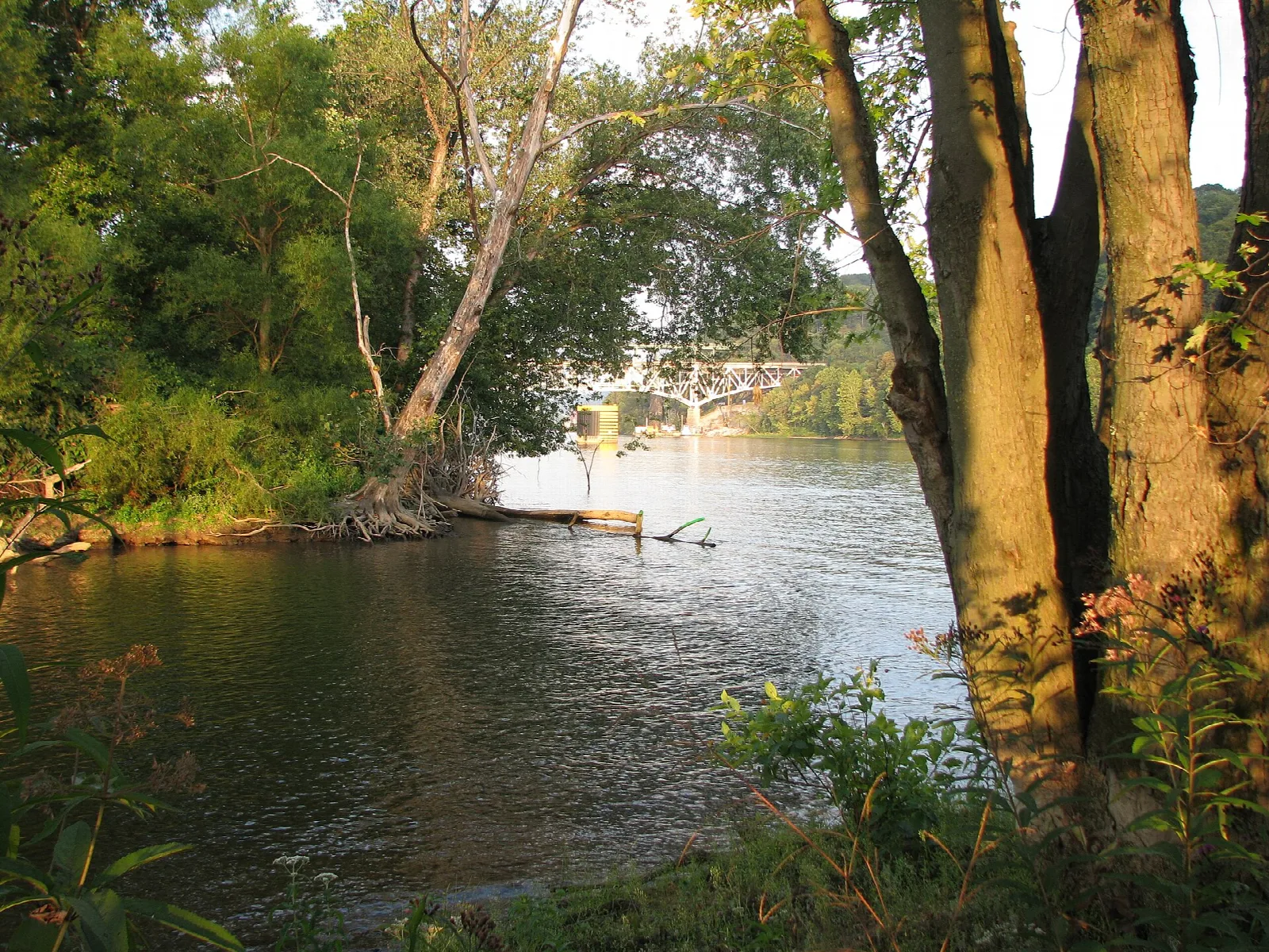 River edge with leafy trees and a bridge in the distance
