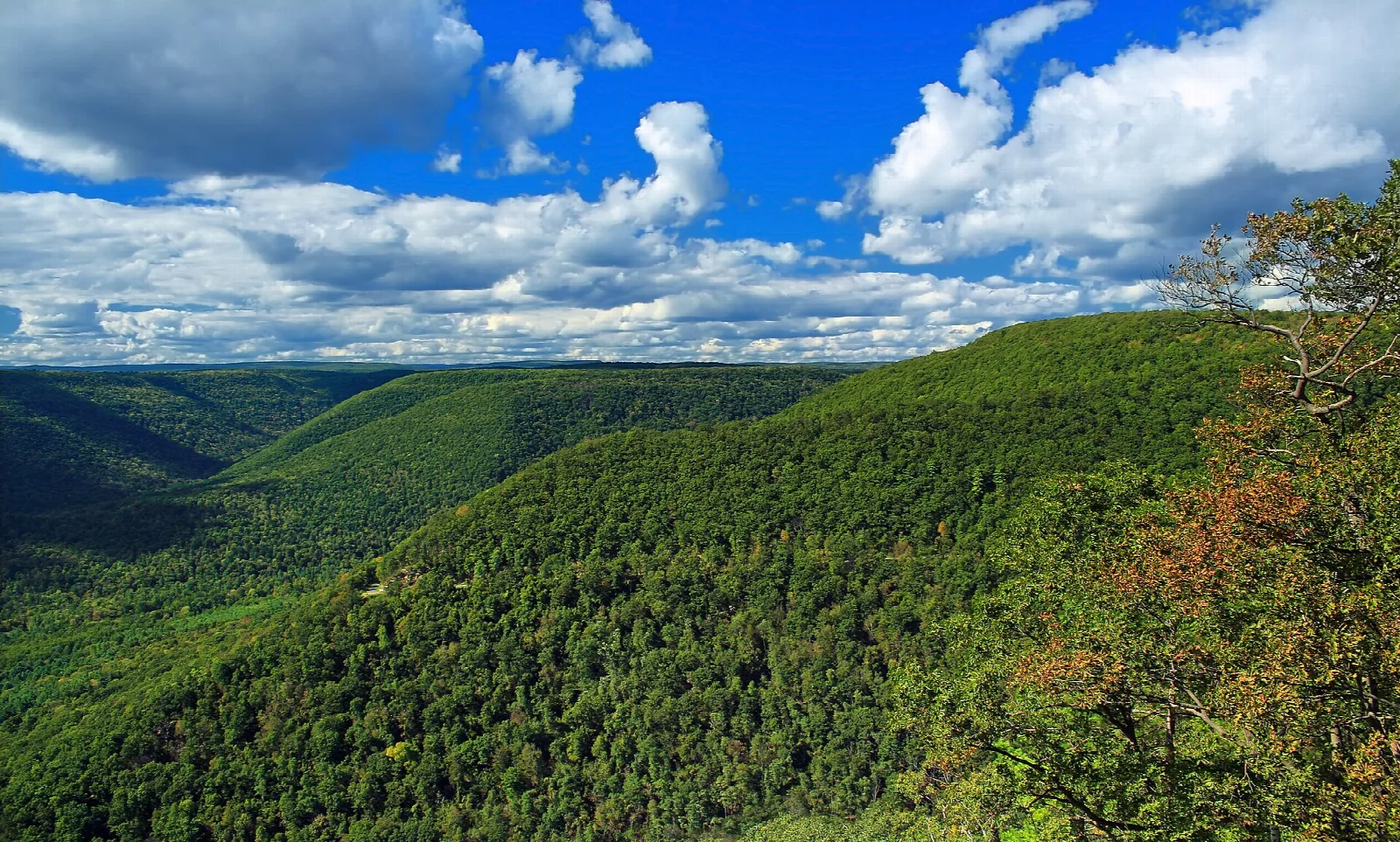 Forested ridges and valley under blue sky and clouds