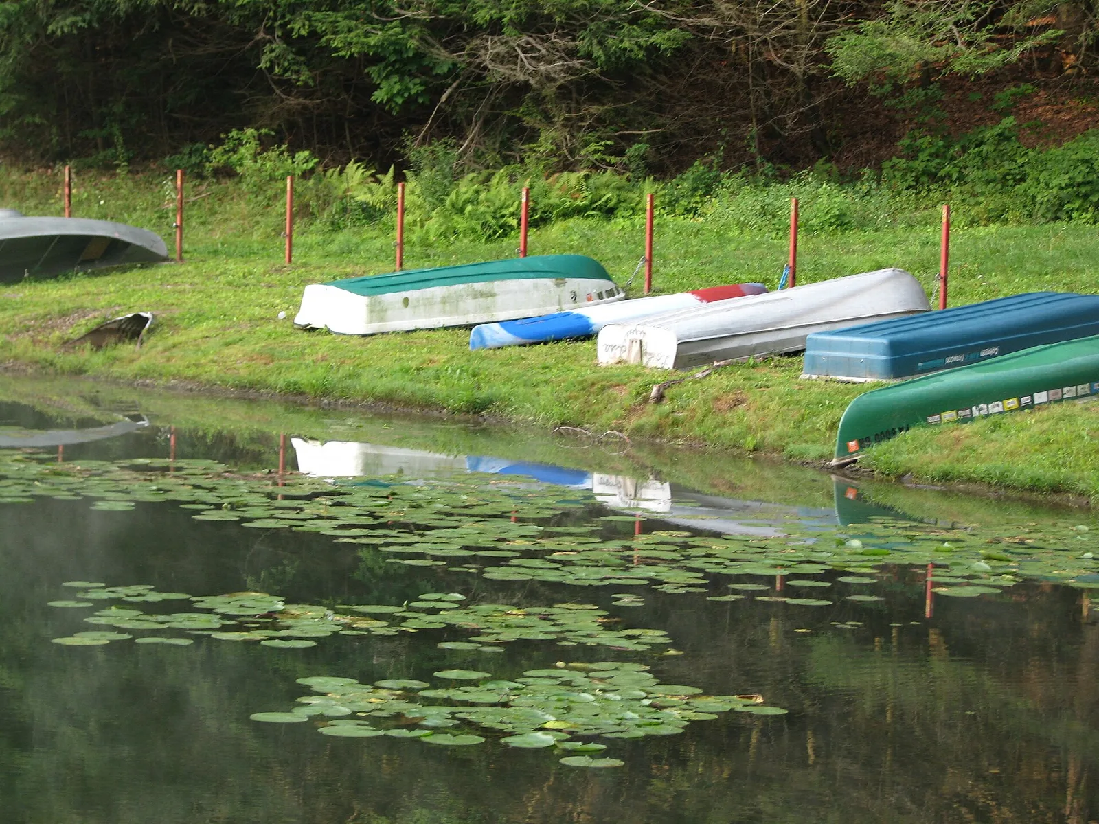 Rowboats on a grassy shore beside a pond with lily pads