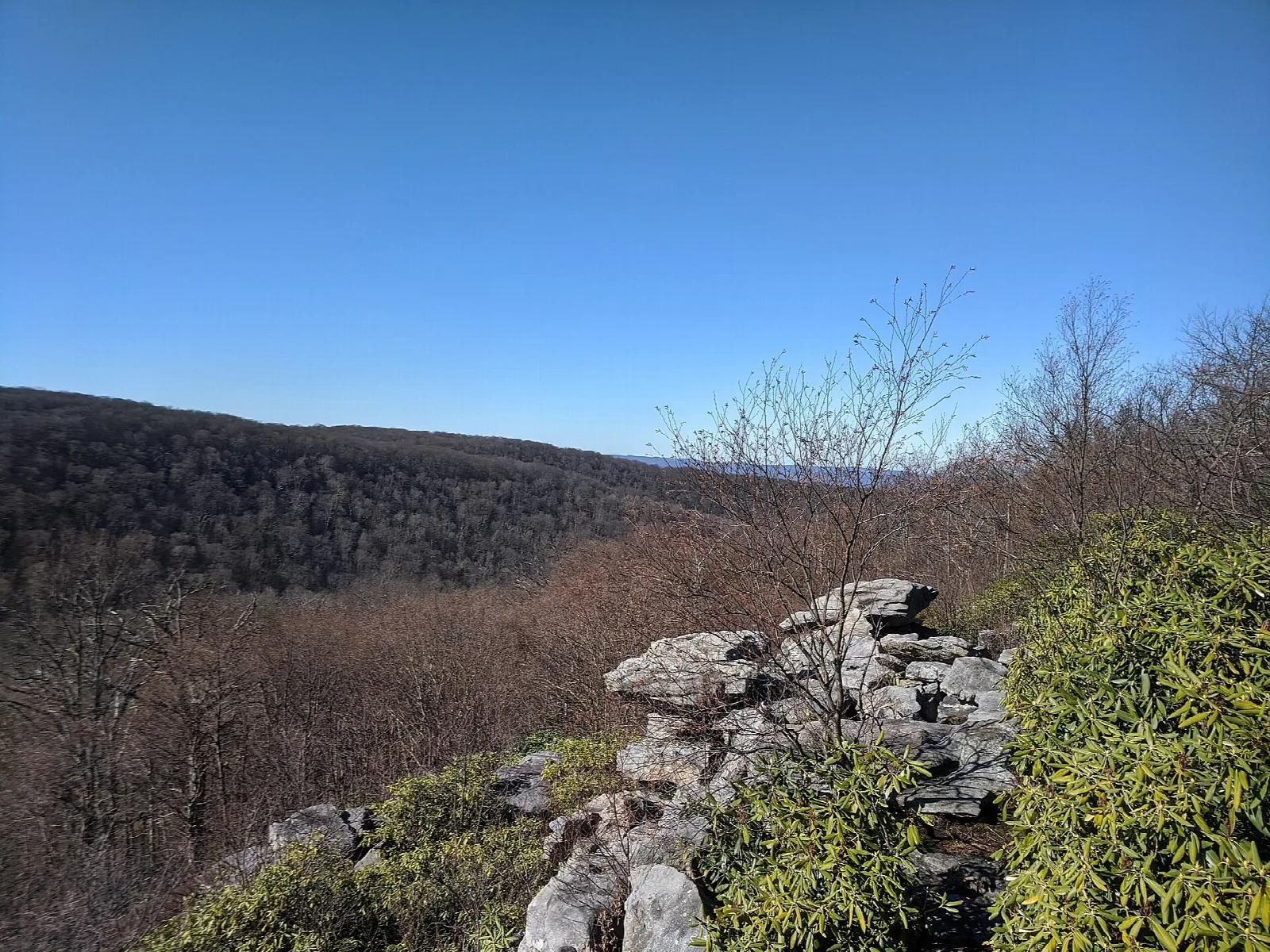 Rock outcrop above a forested ridge under a deep blue sky