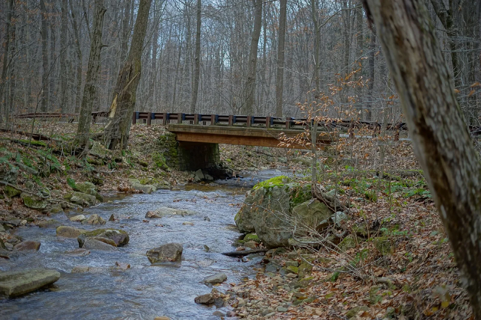 Creek running over rocks beneath a wooden bridge in bare woods