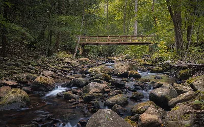 Linn Run State Park