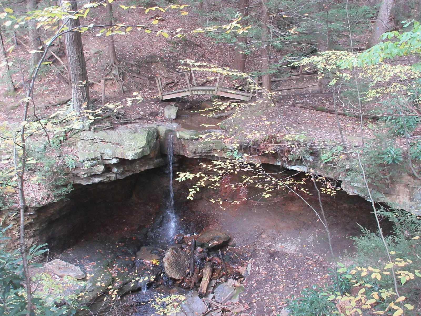 Thin waterfall dropping from a rock ledge into a pool in the woods