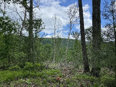 Fowlers Hollow State Park