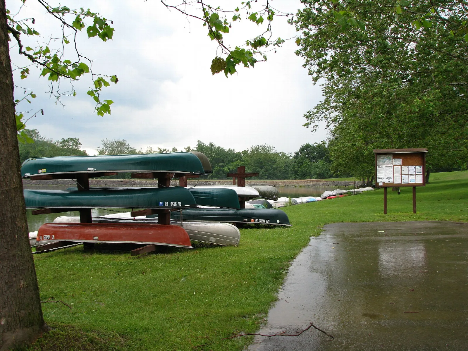 Canoes stacked on the grass beside a wet path and trees