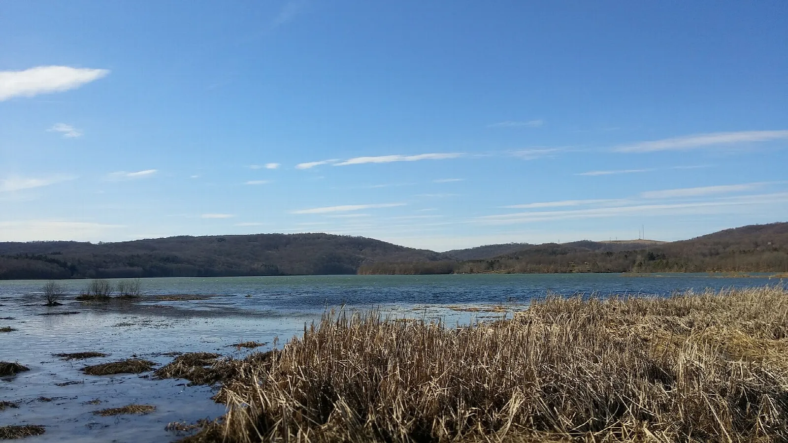 Lake with marsh reeds and low hills under blue sky