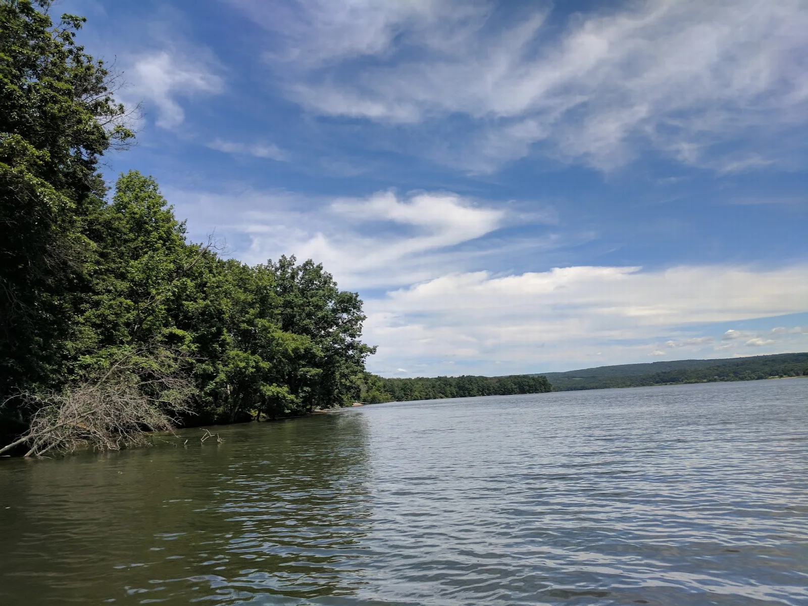 Wide lake with leafy trees overhanging the water under blue sky