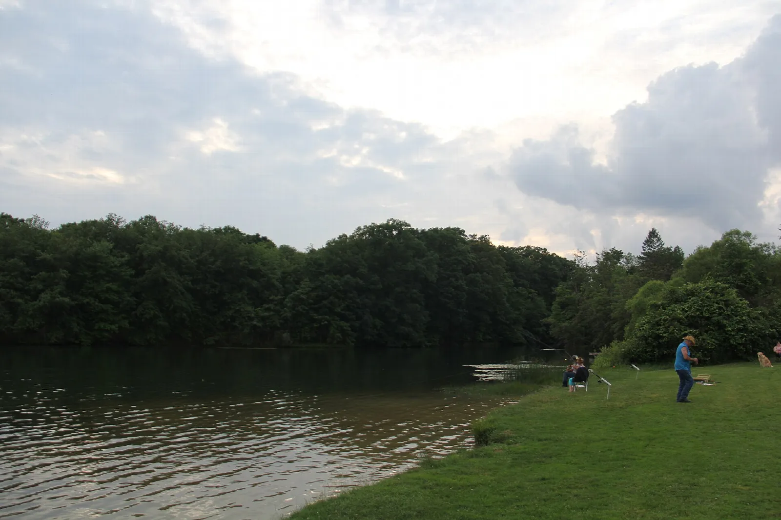 Lake edge with a lawn and dark trees under clouds