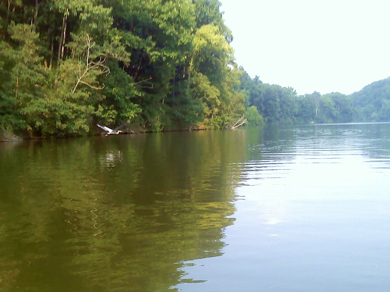 Calm lake with wooded banks and hazy hills