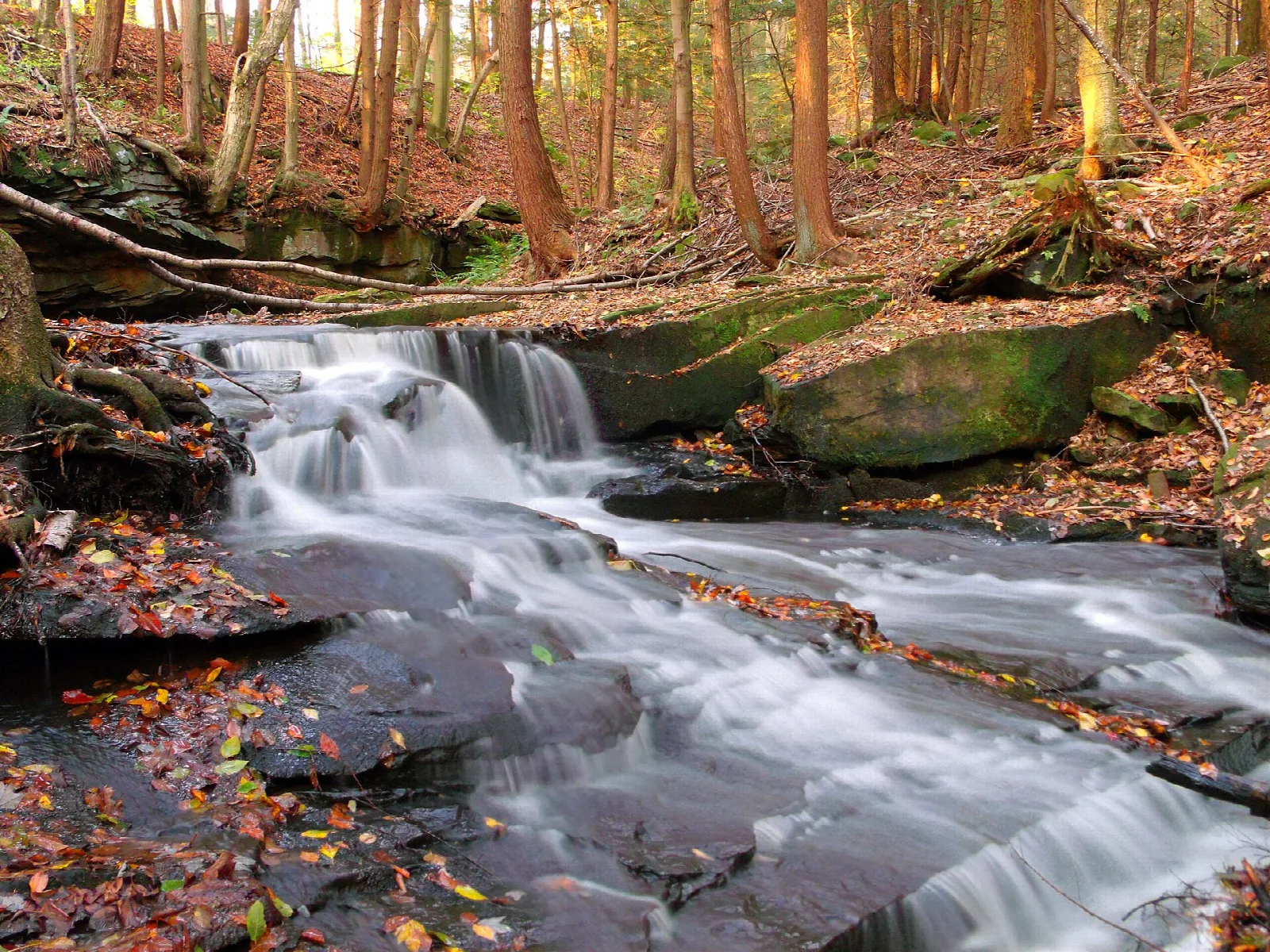 Stream cascading over rock ledges in autumn forest