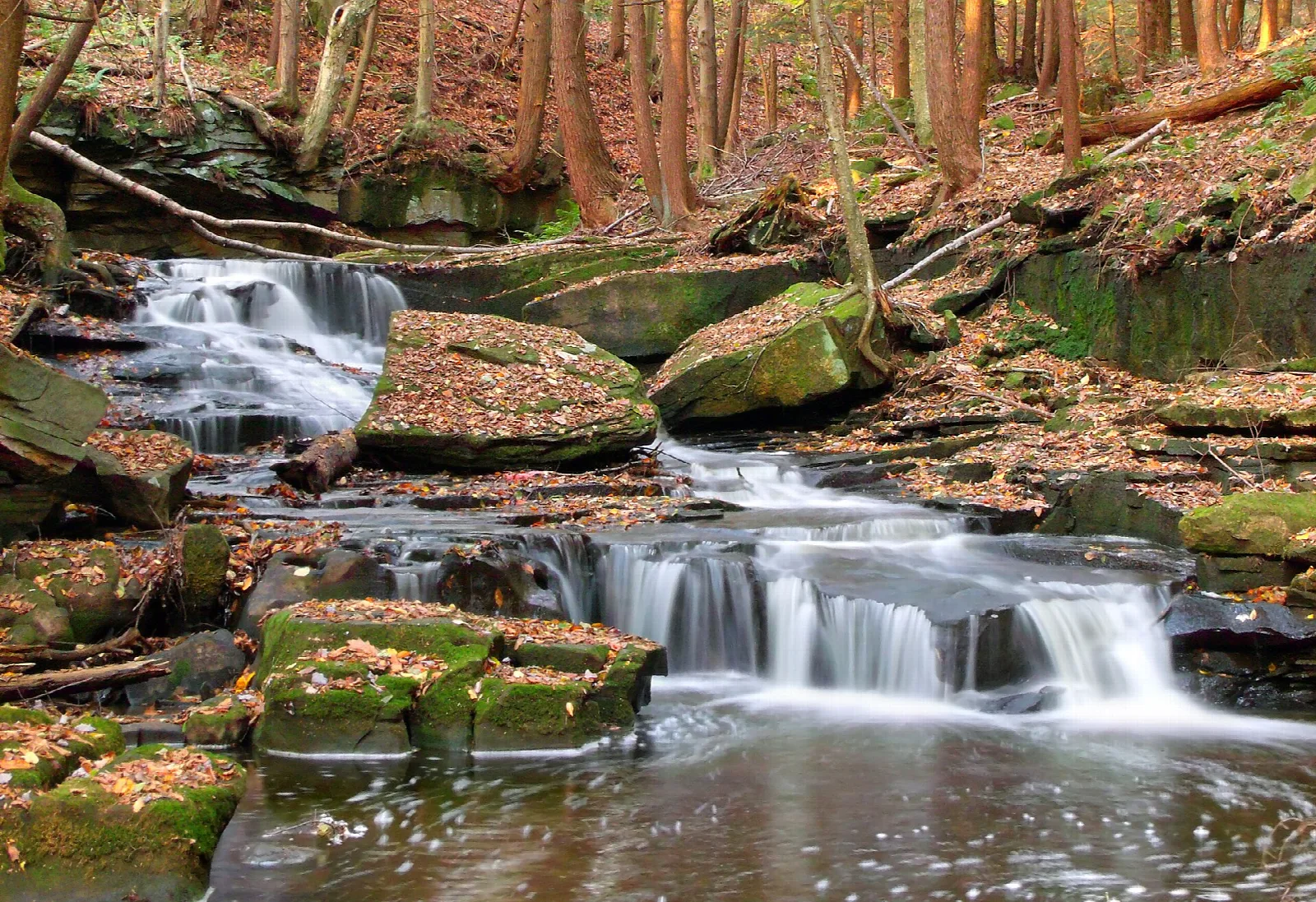 Stepped waterfall over mossy rocks in an autumn woodland