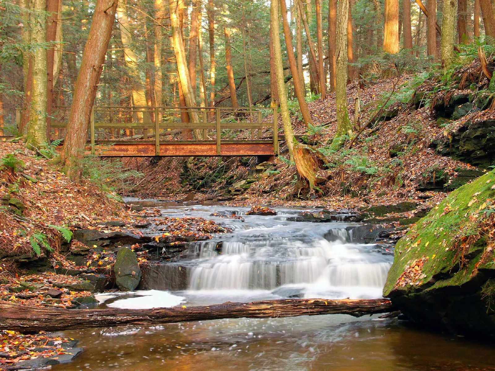 Small waterfall under a wooden footbridge in autumn woods