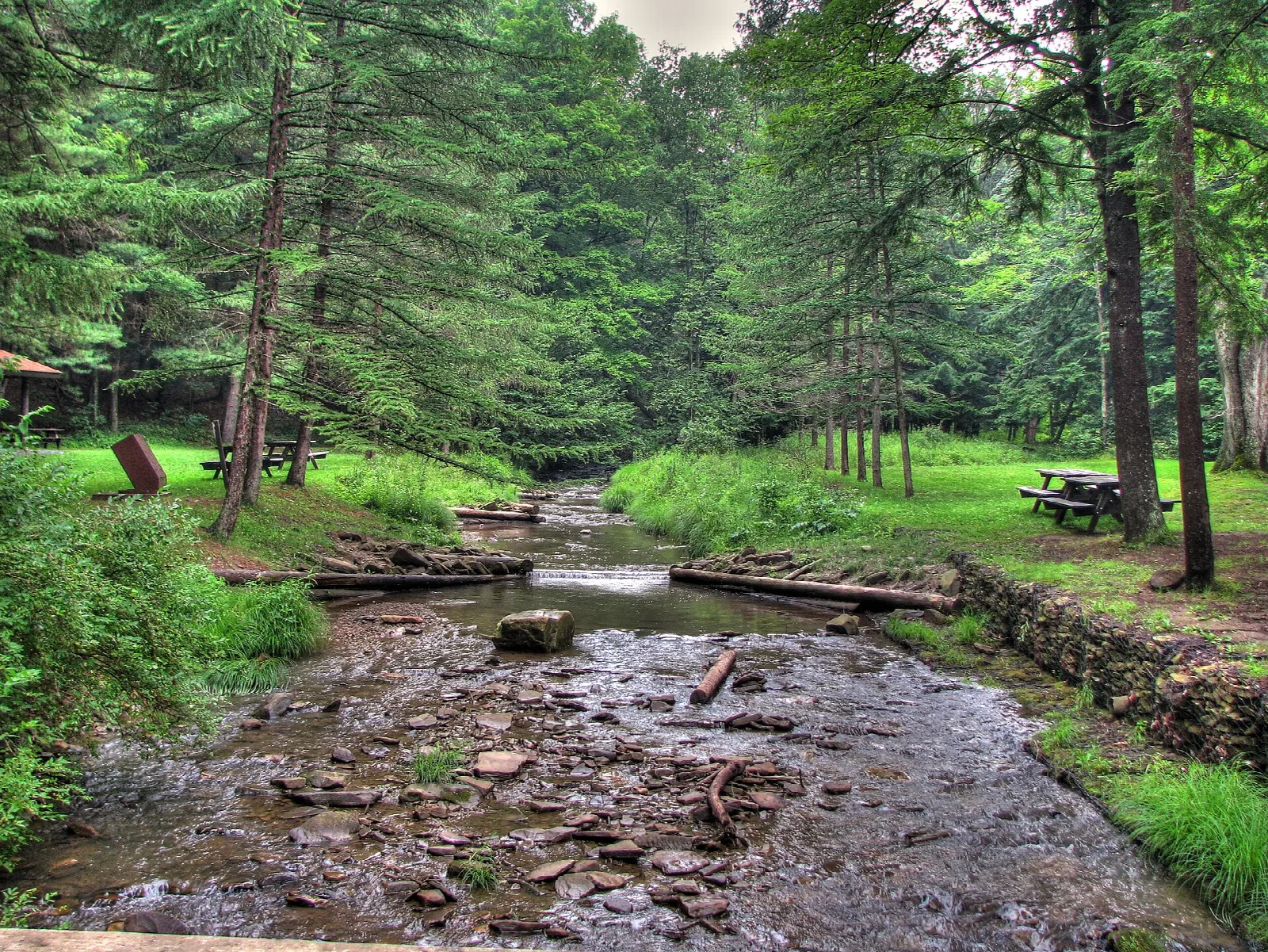 Shallow creek running through green evergreen woods with a picnic table