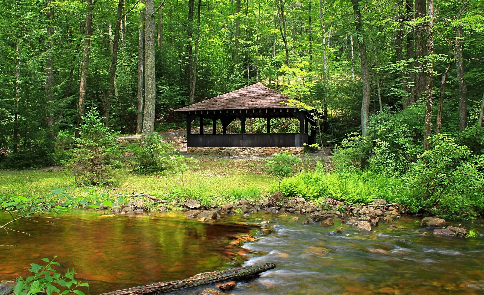 Timber pavilion beside a creek among green trees