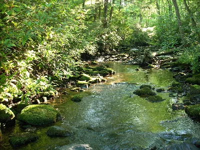 Sand Bridge State Park