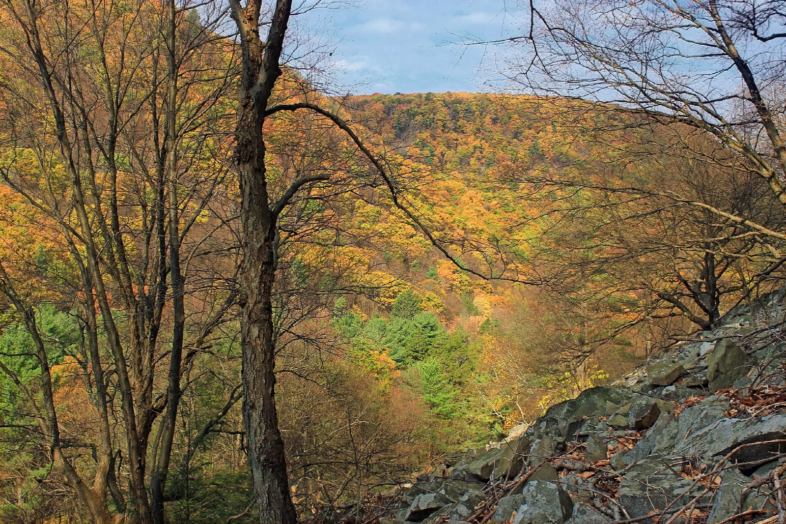Autumn-colored gorge seen through bare trees and a rock edge
