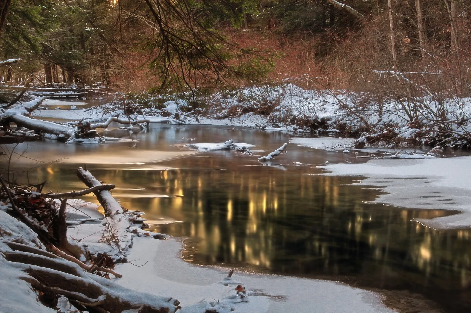 Partly frozen creek between snowy banks and bare trees