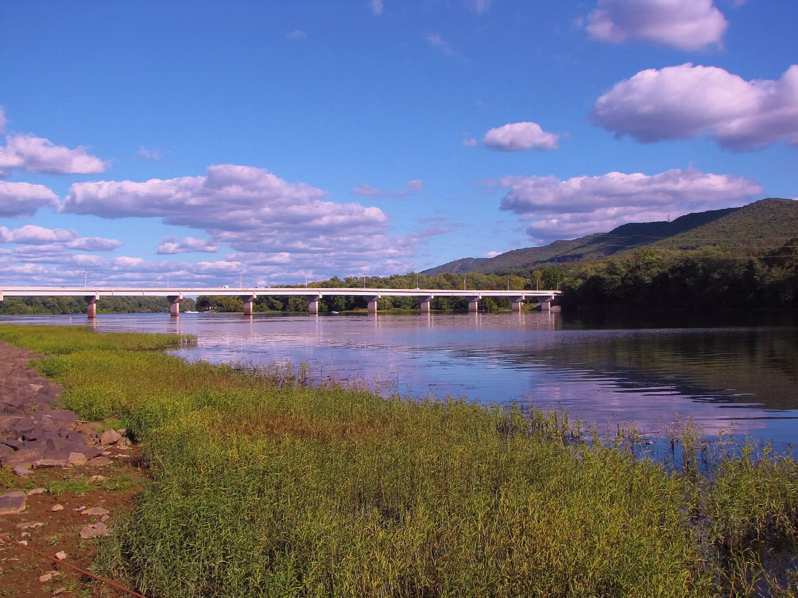 Grassy riverbank with a bridge across the river in the distance