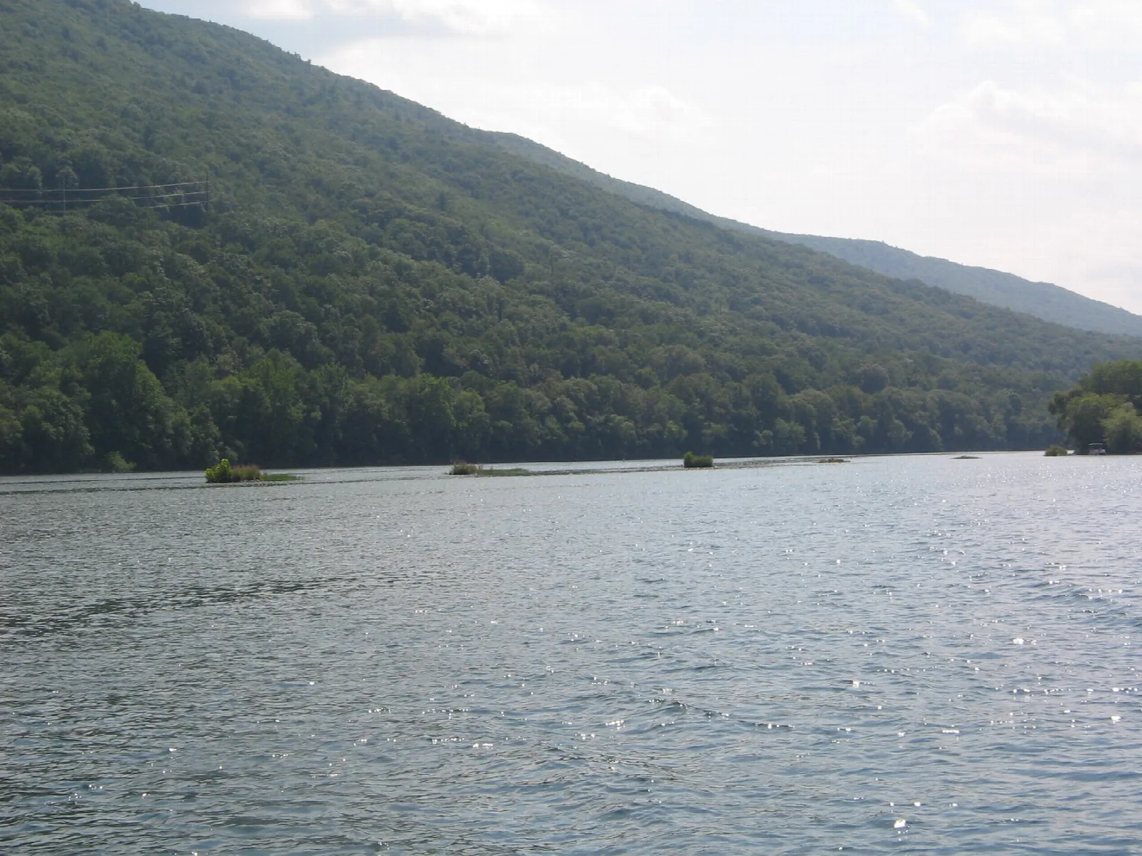 Forested mountainside rising above a broad river