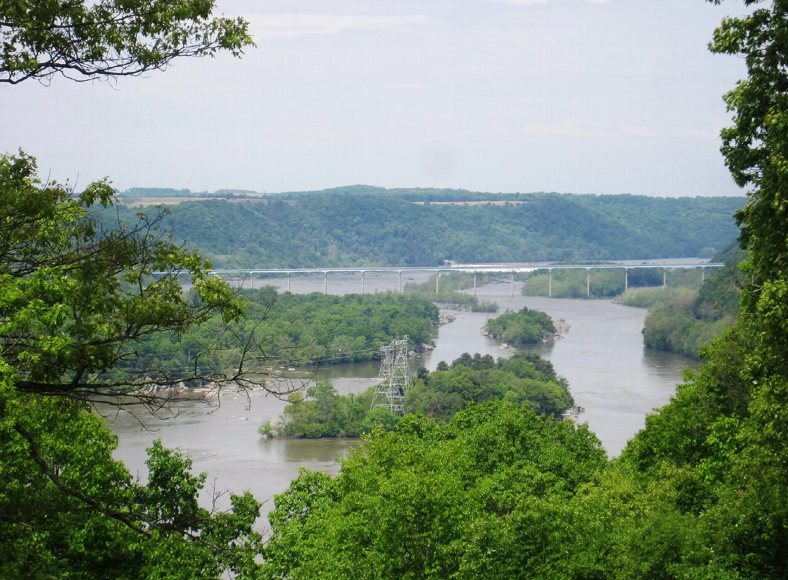 River islands and a distant bridge seen through green trees