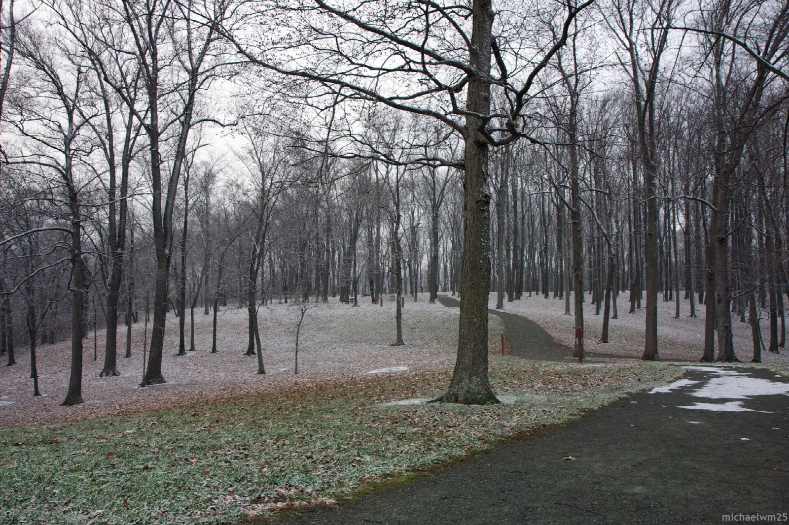 Paved path through bare trees with a light dusting of snow