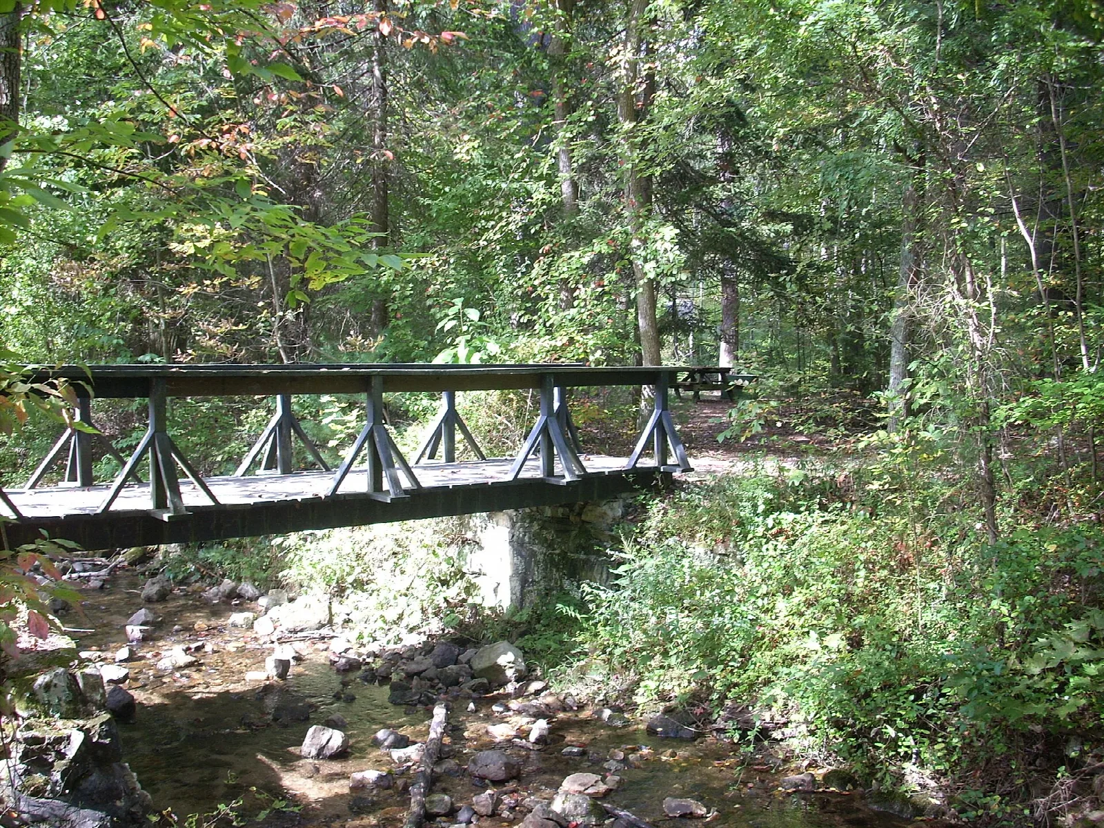 Wooden footbridge over a rocky creek in green woods