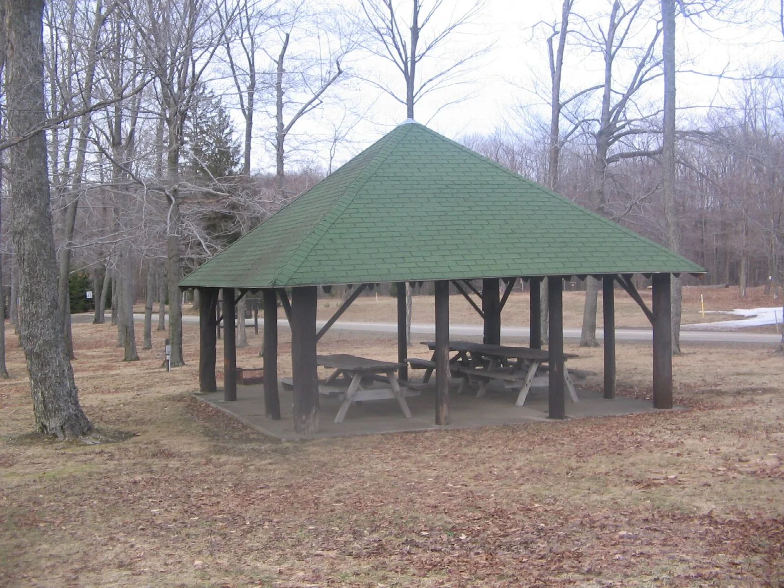 Green-roofed picnic pavilion with tables in leafless woods