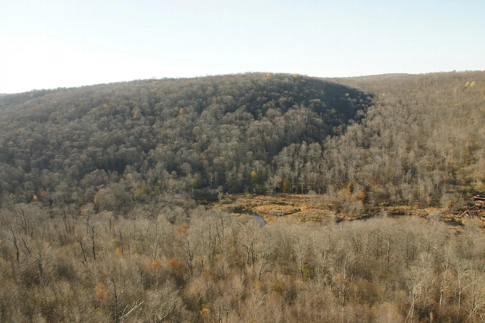 Forested hills and valley under a pale sky