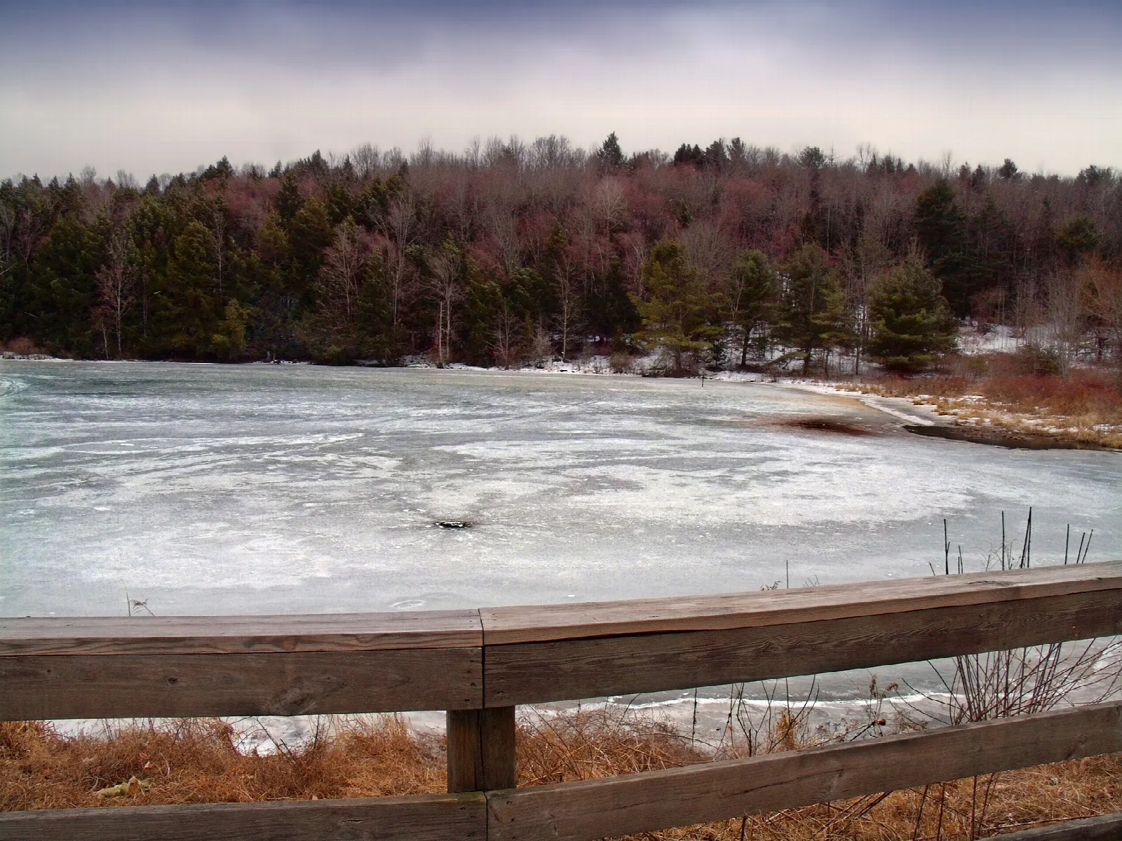 Frozen lake behind a wooden rail with evergreen trees beyond