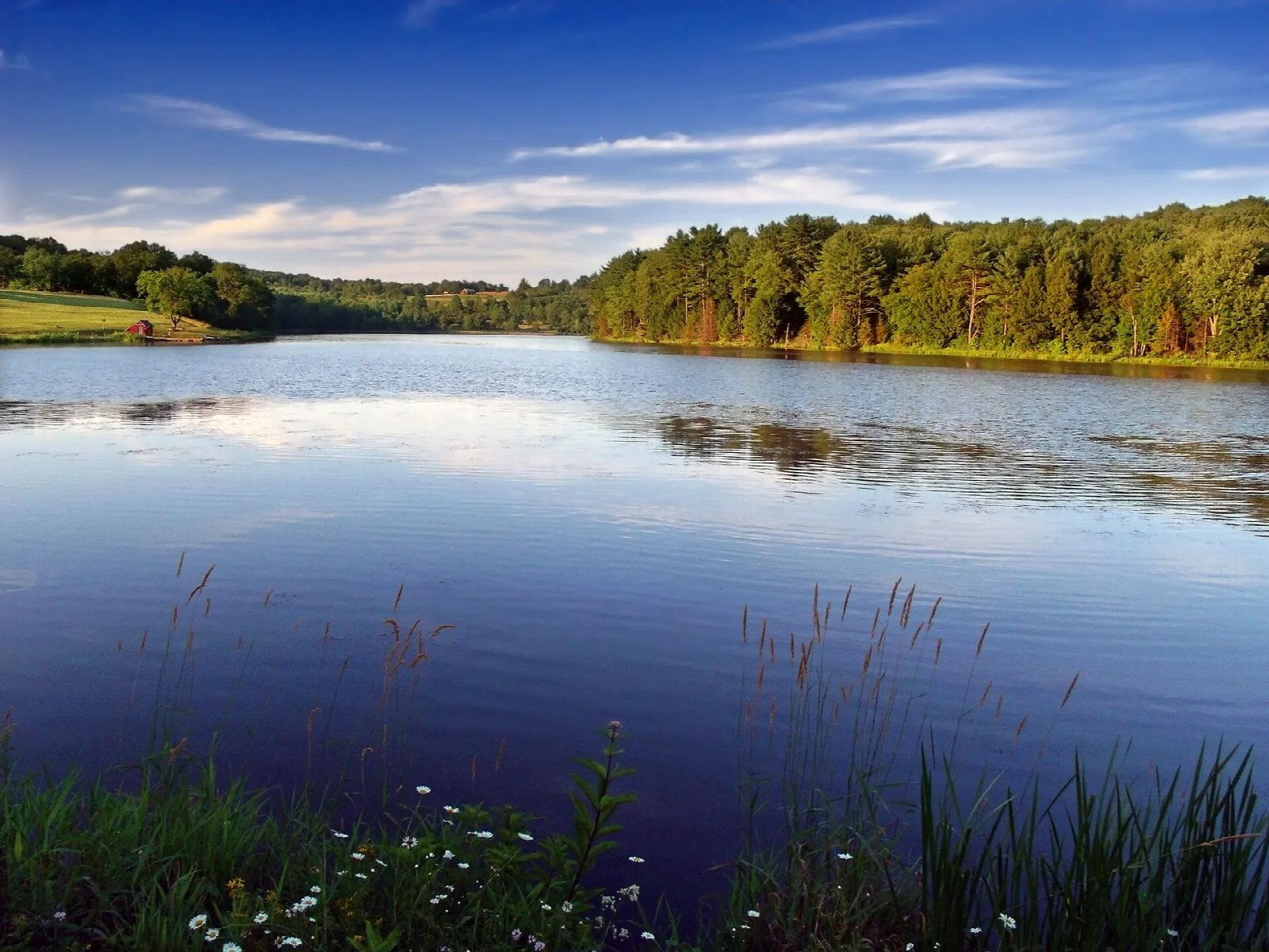 Blue lake with grassy shore and forest in late-day light
