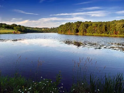 Mount Pisgah State Park