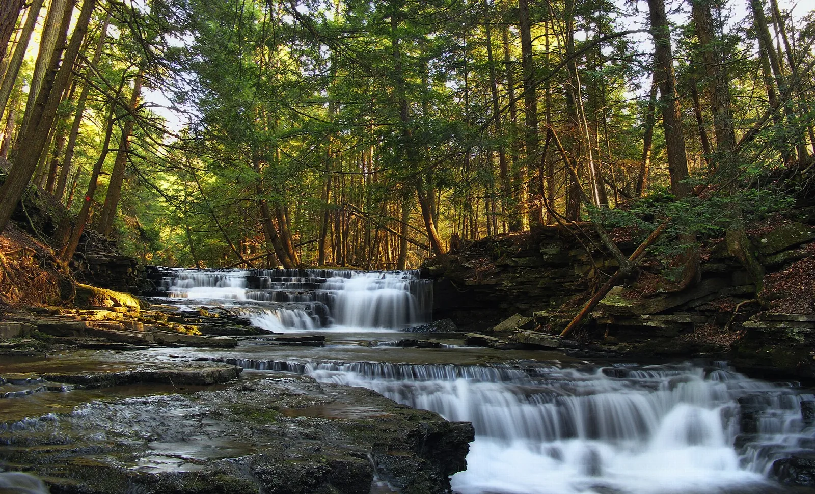 Stepped cascades on a creek under tall hemlocks at sunset
