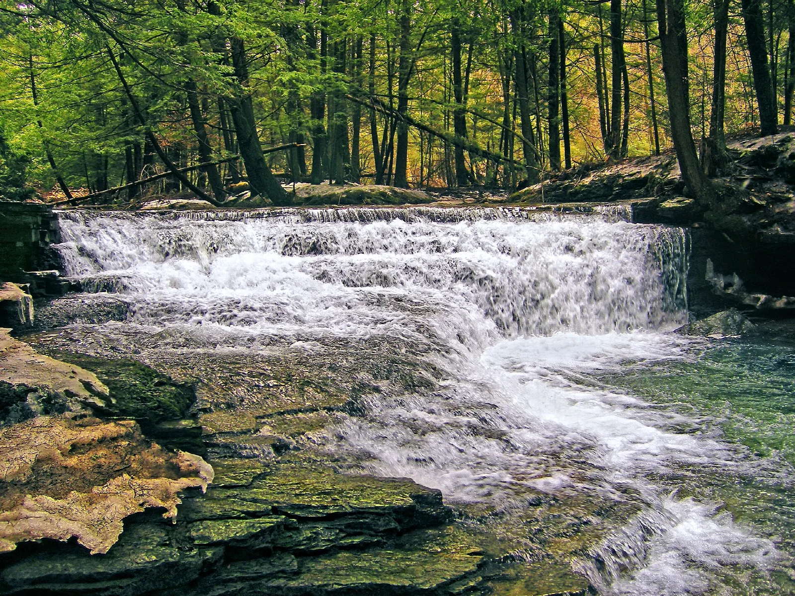 Cascading brook over flat rock ledges in an autumn forest