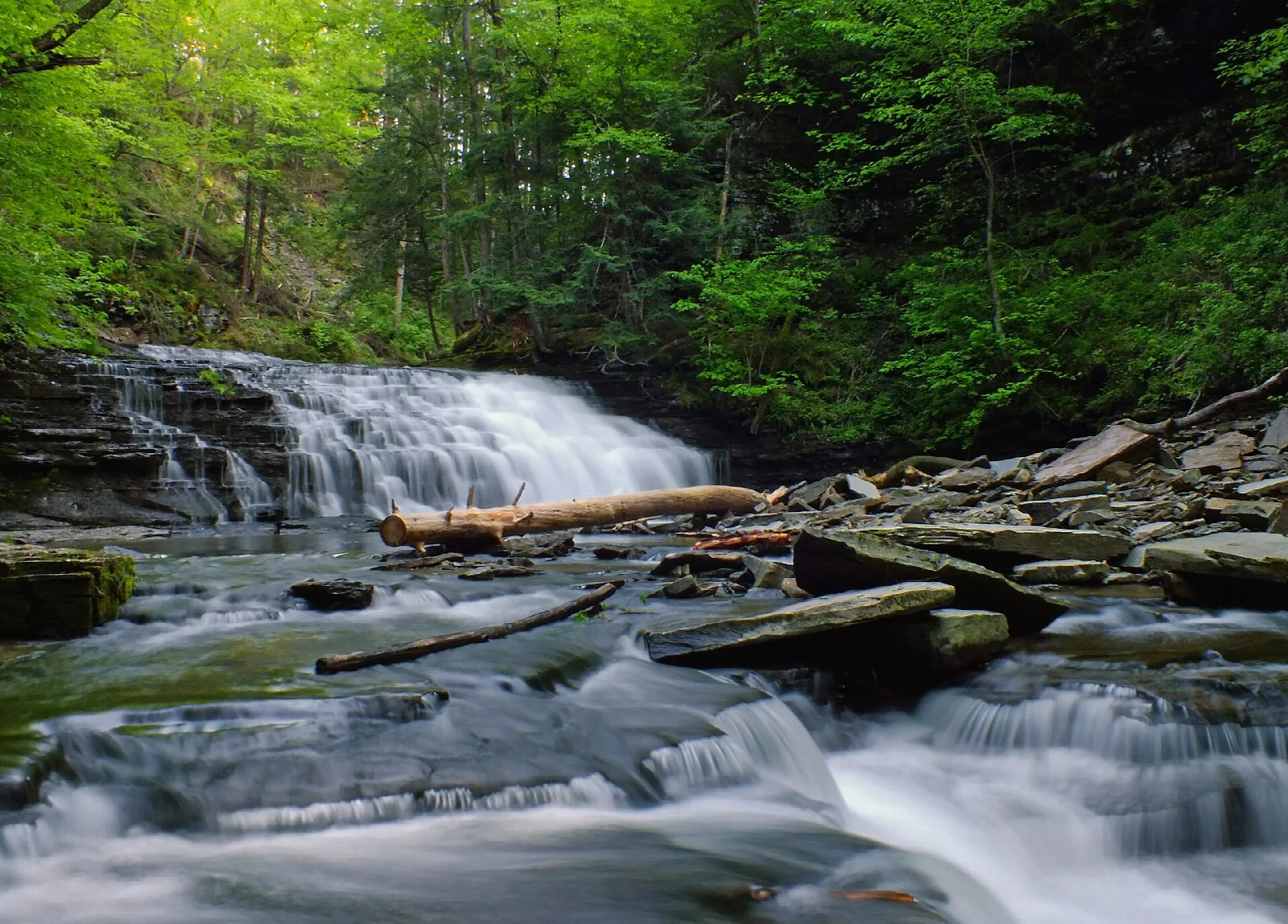 Waterfall and rocky creek in a lush green ravine