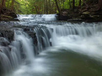 Salt Springs State Park