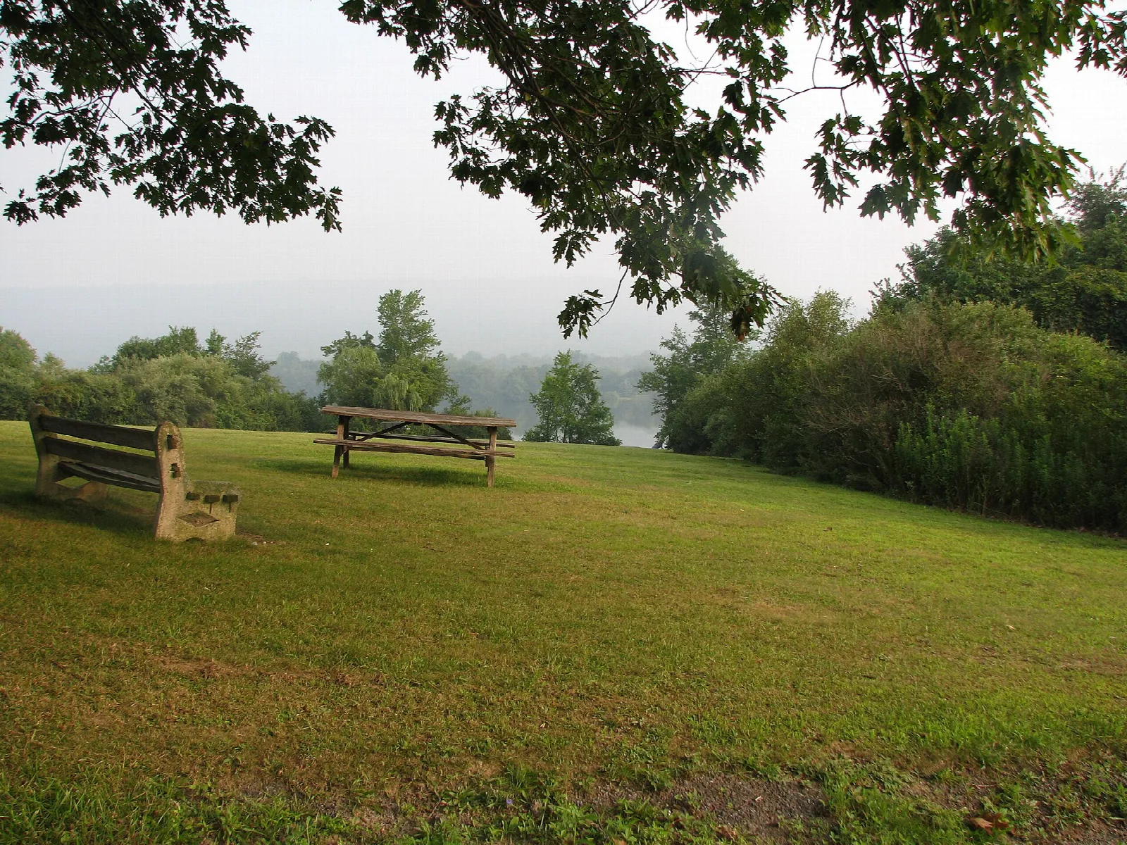 Grassy hilltop with a bench and picnic table under a tree, hazy view beyond