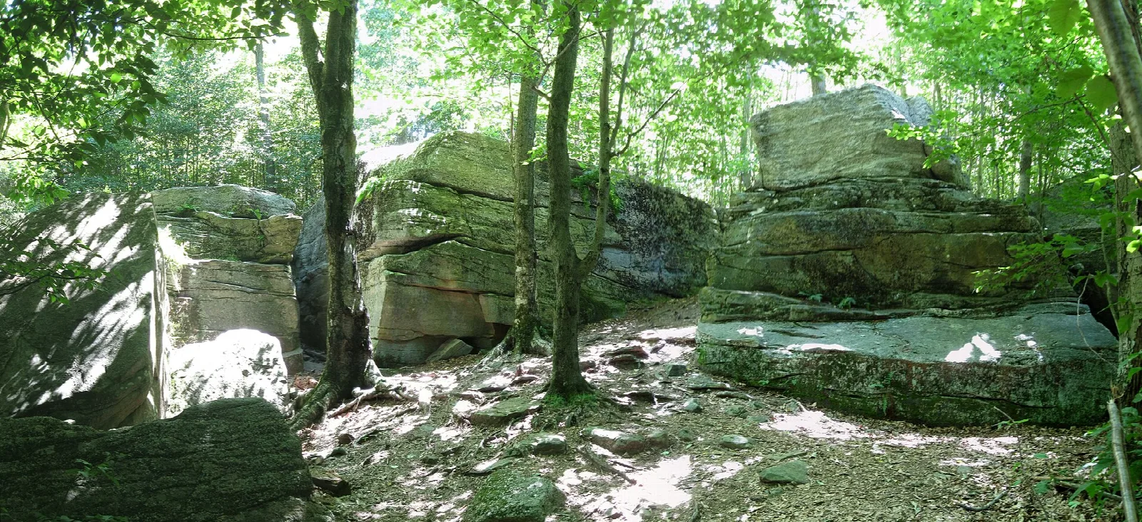 Large split rock blocks among green trees