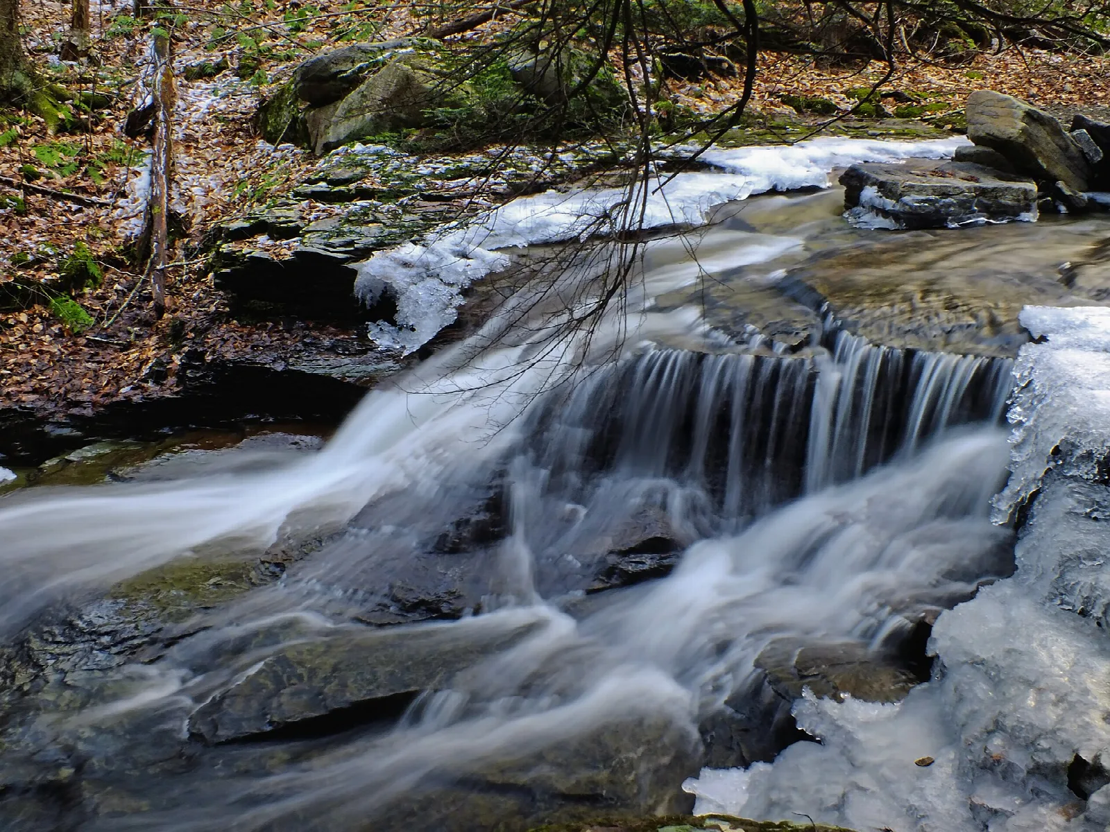 Creek tumbling over rock ledges in a woodland