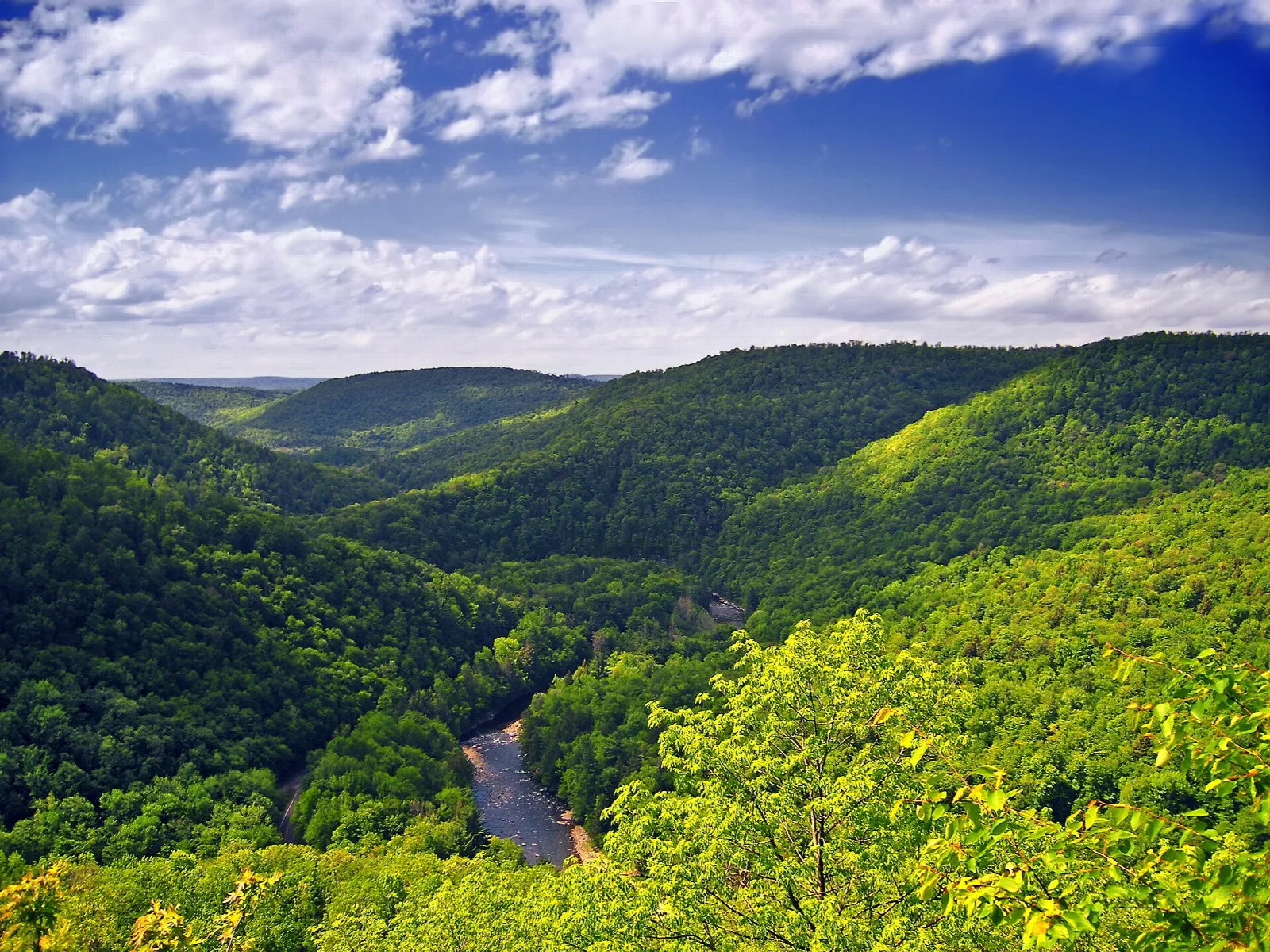 Green forested canyon and winding creek below a blue sky