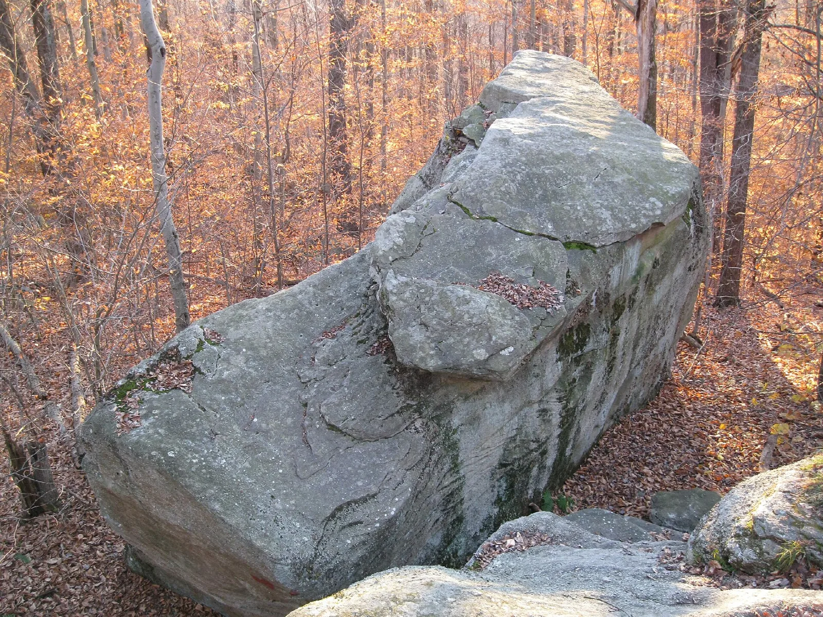 Large gray boulder among orange autumn trees