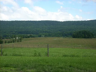 Boyd Big Tree Preserve Conservation Area