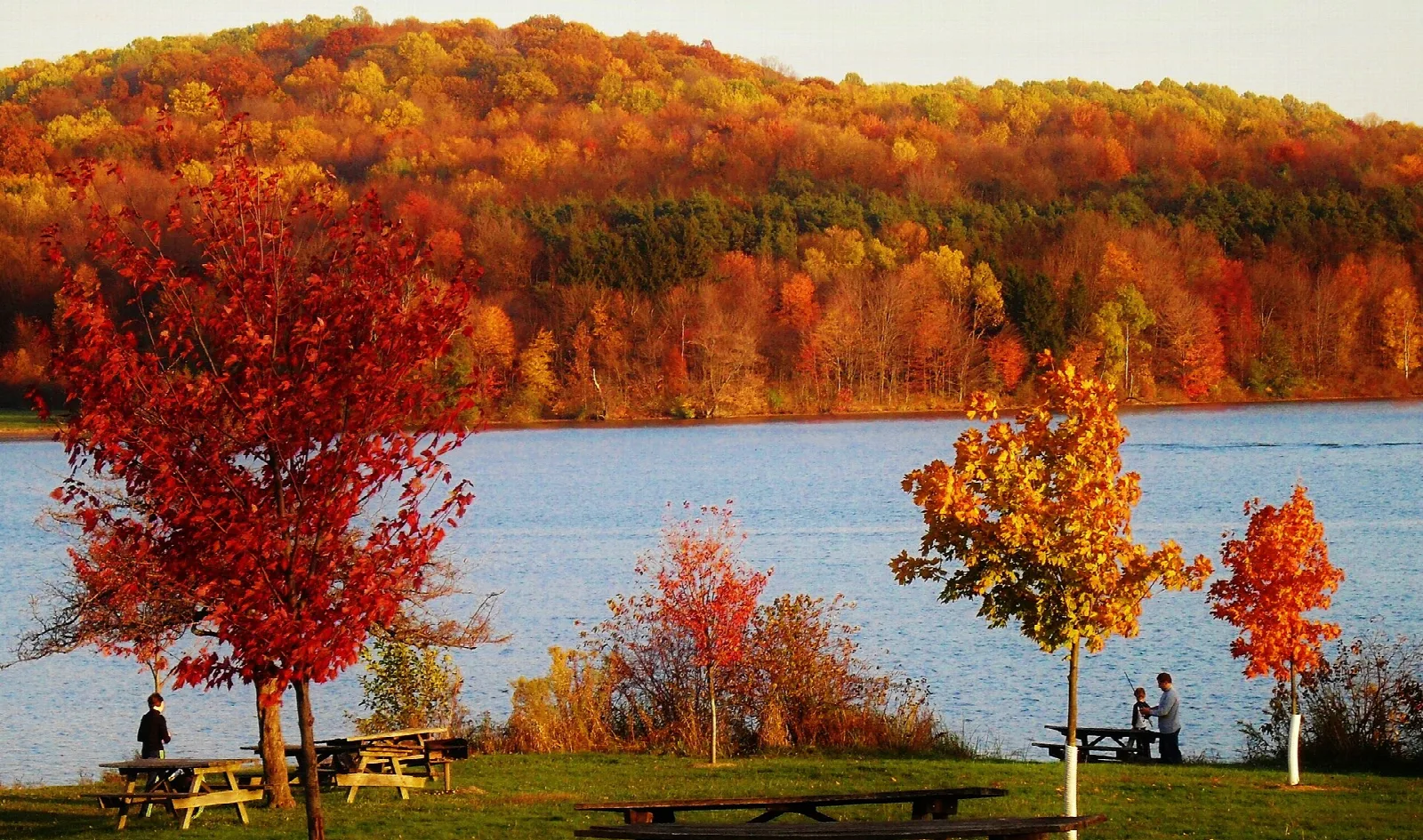 Red and orange autumn trees along a lake with picnic tables