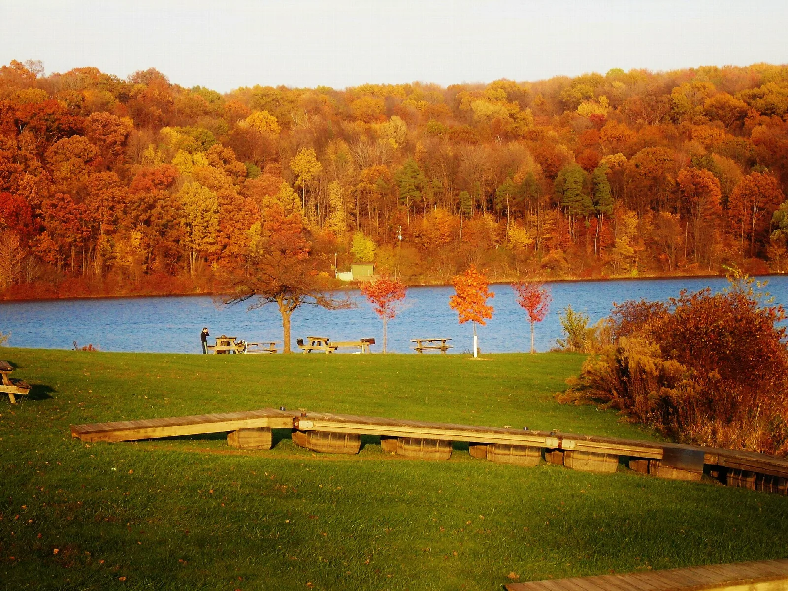 Autumn forest across a lake from a green lawn with picnic tables