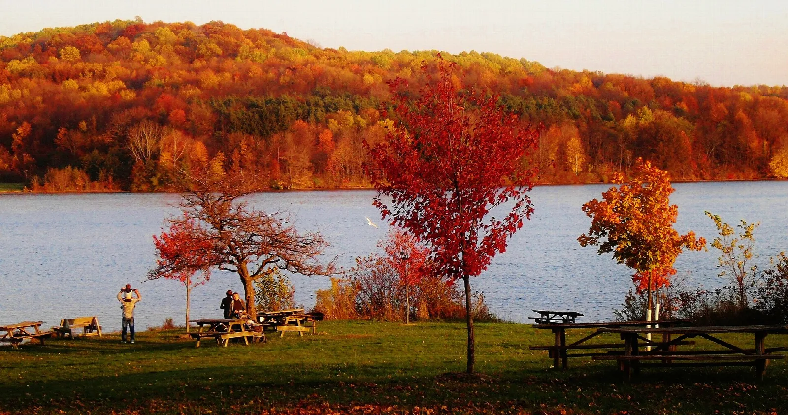 Orange fall hillside across calm water with picnickers