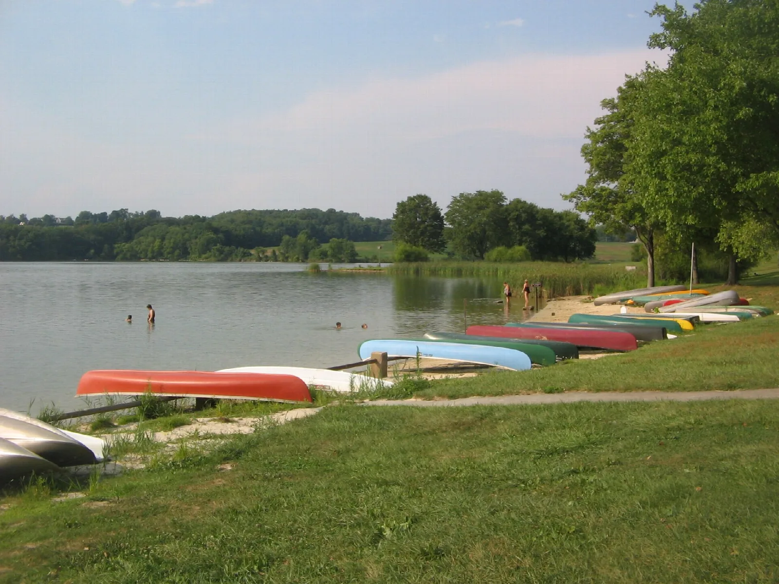 Colorful canoes lined up on the grass near the shore with swimmers in the water