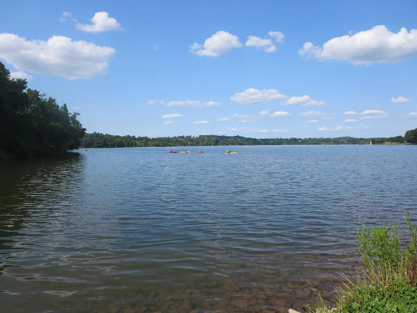 Calm lake under a blue sky with a grassy bank and reeds in the foreground