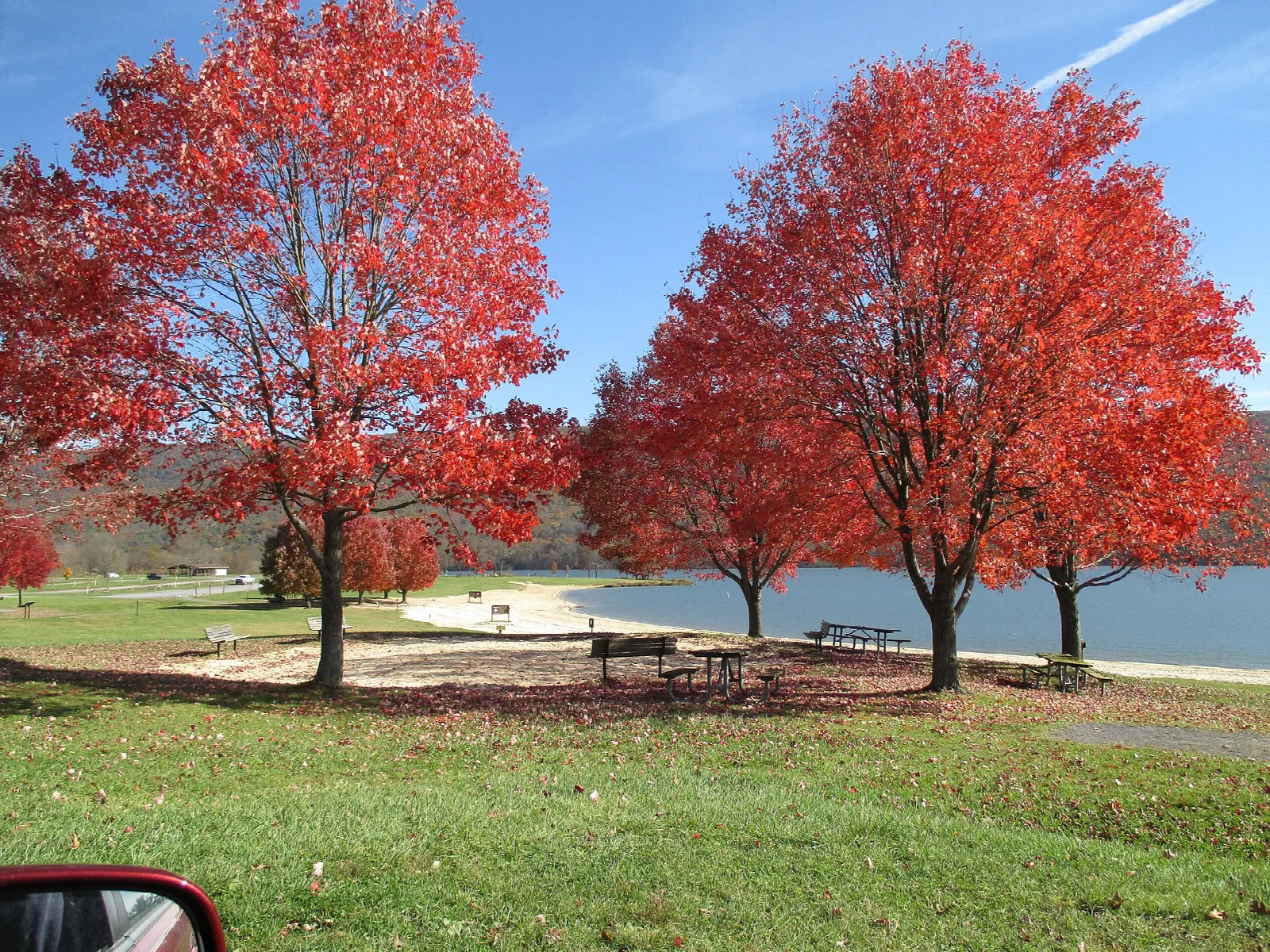Two red autumn trees on a lawn above the lake