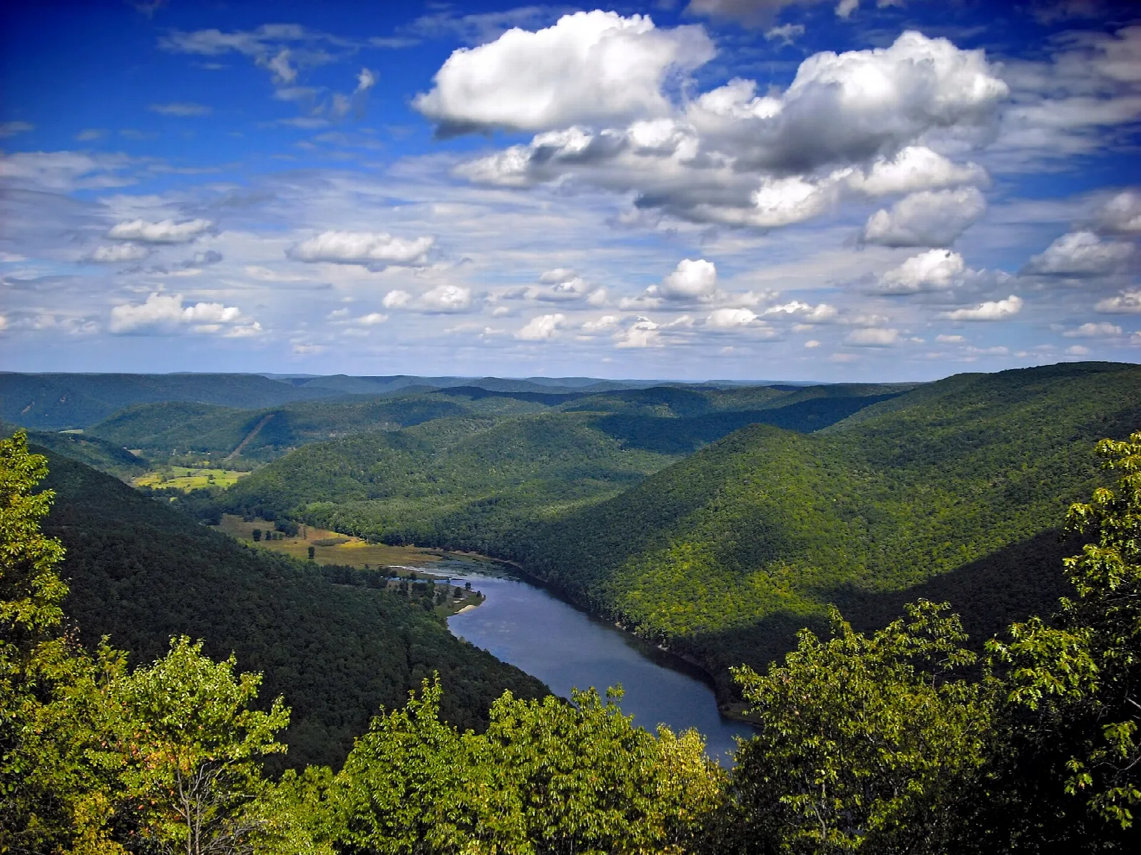 Forested ridges and a winding river in a valley under puffy clouds