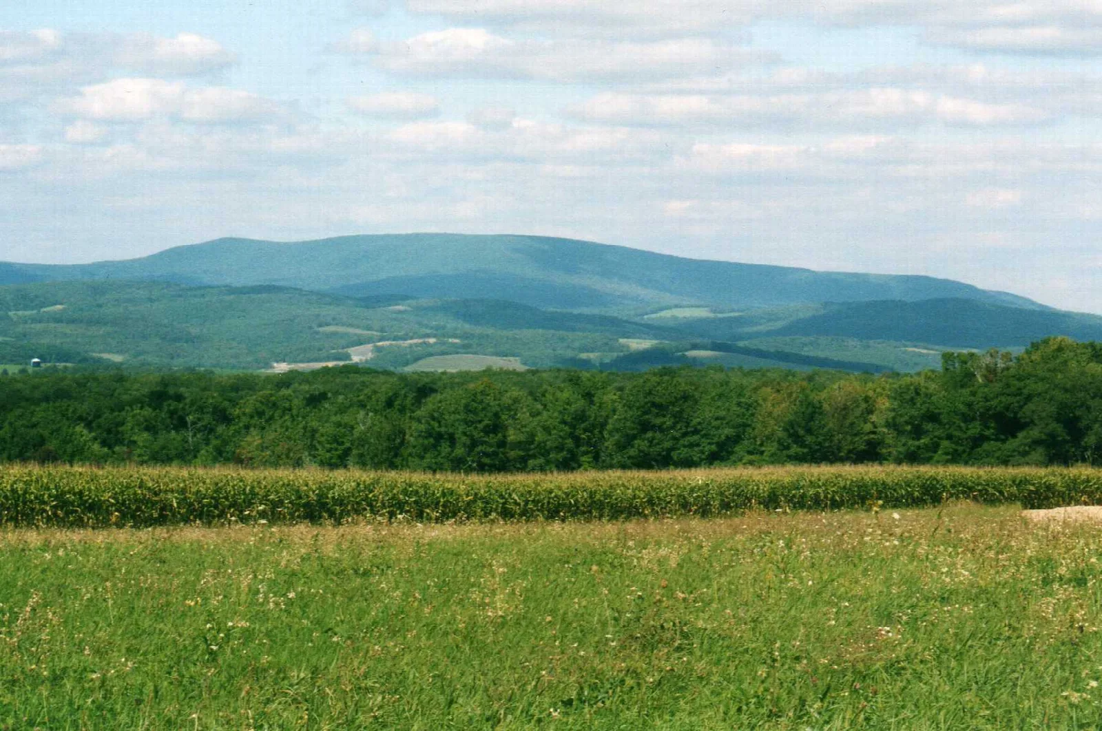 Mountain ridge rising behind a green field and tree line
