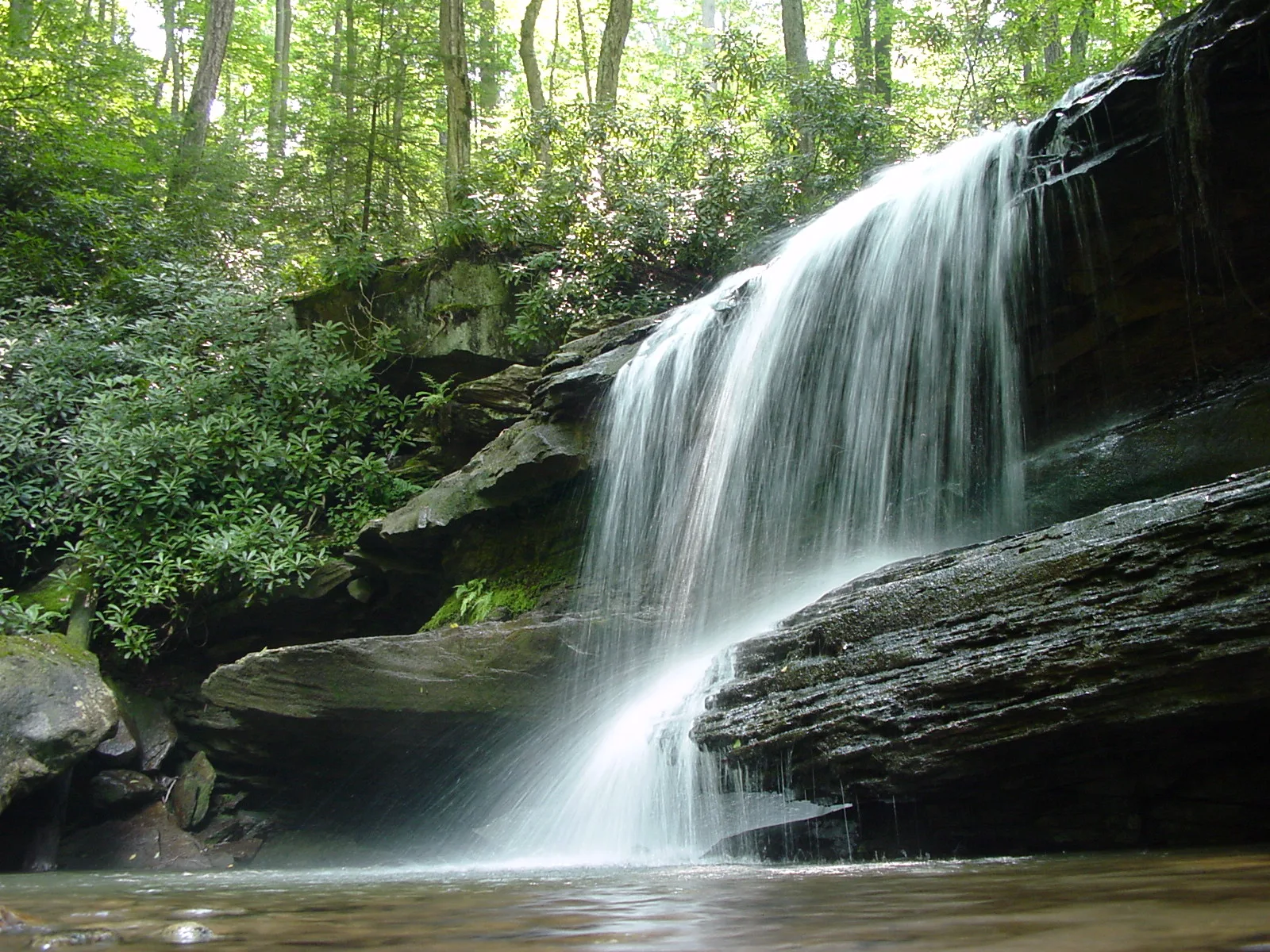 Waterfall dropping over a rock ledge into a pool, ringed by green forest